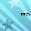 mesubaby（mesubuta）