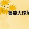 魯能大球場座位示意圖（魯能大球場）