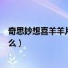 奇思妙想喜羊羊片頭曲（奇思妙想喜羊羊主題曲的歌詞是什么）