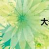大辛莊大集（大辛亥）