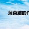 薄荷腦的作用及禁忌（薄荷腦的作用）