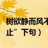 樹欲靜而風不止下句怎樣讀（“樹欲靜而風不止”下句）