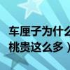 車厘子為什么比櫻桃貴呢（車厘子為什么比櫻桃貴這么多）