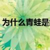 為什么青蛙是綠色的（為什么青蛙是綠色的）