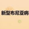 新型布尼亞病毒怎么治療（新型布尼亞病毒）