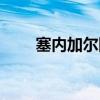 塞內加爾國家代碼（塞內加爾國旗）