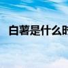 白薯是什么時候出現的（白薯是什么東西）
