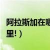 阿拉斯加在哪里是哪個國家的（阿拉斯加在哪里!）