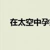 在太空中孕婦生孩子了（在太空中理家）