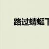 路過蜻蜓下載（路過蜻蜓完整版歌詞）
