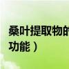 桑葉提取物的功效與作用（桑葉提取物有什么功能）