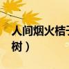 人間煙火桔子樹txt微盤（《人間煙火》桔子樹）