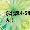 東北風4-5級有多大（東北風5-6級到底有多大）