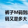 褲子M碼到底是多大（（28碼還是29碼） L碼又是多大）