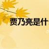 賈乃亮是什么家庭背景（他的父母是誰）