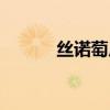 絲諾萄瓜拉納柑橘片（絲諾萄）