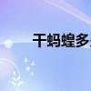 干螞蝗多少錢一噸（干螞蝗收購價）