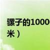 騾子的10000米觀后感300字（騾子的10000米）