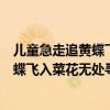 兒童急走追黃蝶飛入菜花無處尋意思是什么（兒童急走追黃蝶飛入菜花無處尋意思）