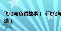 飛鳥與魚得故事(《飛鳥與魚的故事》有誰知道)