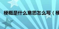 梗概是什么意思怎么寫(梗概是什么意思)