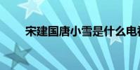 宋建國唐小雪是什么電視劇(宋建)