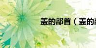 蓋的部首(蓋的部首)