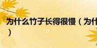 為什么竹子長得很慢(為什么竹子長得特別快)