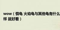 wow(懼龜 火焰龜與其他龜有什么不同 我怎么看屬性都一樣 就好看)