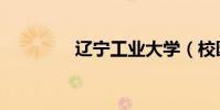 遼寧工業大學(校園網IP)