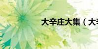 大辛莊大集(大辛亥)