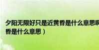 夕陽無限好只是近黃昏是什么意思啊(夕陽無限好,只是近黃昏是什么意思)