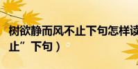 樹欲靜而風不止下句怎樣讀(“樹欲靜而風不止”下句)
