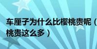 車厘子為什么比櫻桃貴呢(車厘子為什么比櫻桃貴這么多)