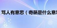 罵人有意思(奇葩是什么意思是罵人的話嗎)