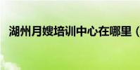 湖州月嫂培訓中心在哪里(湖州月嫂培訓)