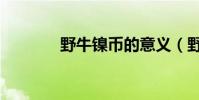 野牛鎳幣的意義(野牛鎳幣)