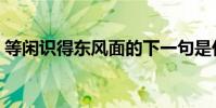 等閑識得東風面的下一句是什么(具體一點)