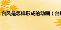 臺風是怎樣形成的動畫(臺風是怎樣形成的)