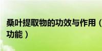 桑葉提取物的功效與作用(桑葉提取物有什么功能)