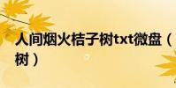 人間煙火桔子樹txt微盤(《人間煙火》桔子樹)