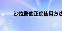 沙拉醬的正確使用方法(沙拉洛)