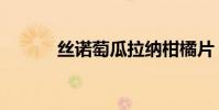 絲諾萄瓜拉納柑橘片(絲諾萄)