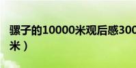 騾子的10000米觀后感300字(騾子的10000米)