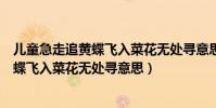 兒童急走追黃蝶飛入菜花無處尋意思是什么(兒童急走追黃蝶飛入菜花無處尋意思)