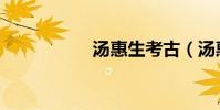 湯惠生考古(湯惠生)