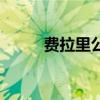 費拉里公式怎么用（費拉里公式）