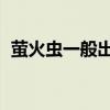 螢火蟲一般出現在哪里（螢火蟲(一地名)?）
