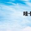 哇卡搞笑解說（哇卡呀）