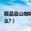 極品藍山咖啡多少錢一杯（極品藍山咖啡好喝么?）